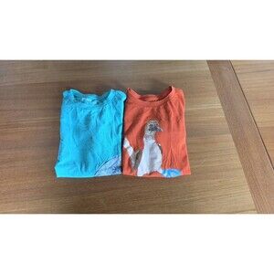 Pact Girl's T-shirt Size 10/12 Pair